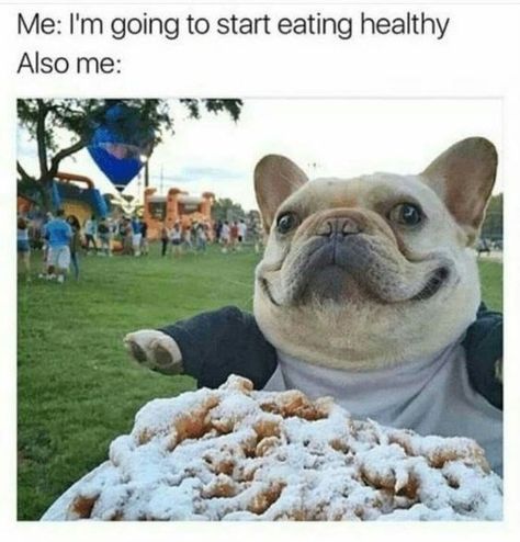 French Bulldog Meme, Puppy Life, Dogs Training, Dog Quotes Funny, Breed Dogs, Funny Dog Memes, Animals Funny, Funnel Cake, French Bulldog Puppies