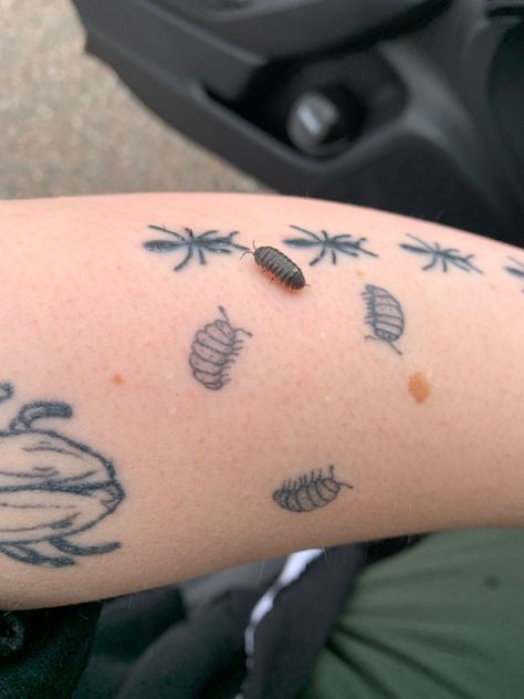 A small roly poly isopod sits right next to my tattoo of 3 roly polies on my left arm Halloween Bug Tattoo, Small Critter Tattoo, I Spy Tattoo, Brown Tattoos Ink, Insect Patchwork Tattoo, Trinket Tattoo Ideas, Woodlice Tattoo, Whimsicle Tattoo, Bug Chest Tattoo