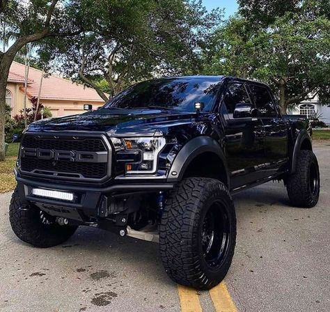 Ford Raptor equipped with a Fabtech 4” Lift Kit Truk Ford, Off Road Jeep, Jeep Pickup Truck, Best Pickup Truck, Red Mustang, Ford F150 Raptor, Ford Trucks F150, Ranger Truck, Ford Ranger Truck