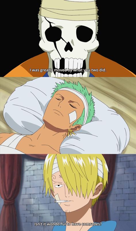 Zosan Thriller Bark, Anime Lines, One Piece Funny Moments, One Piece Quotes, Zoro Sanji, Cat Body, One Piece Meme, Snoopy Pictures, One Piece Funny