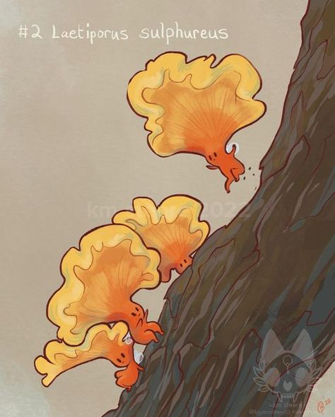 Mushroom Creature Design, Chanterelle Mushroom Illustration, Weird Mushroom Art, Cute Fantasy Creature Concept Art, Fantasy Mushroom Creature, Magical Nature Art, Mushroom Forest Illustration, Cute Monster Design, Mushroom Creature Art