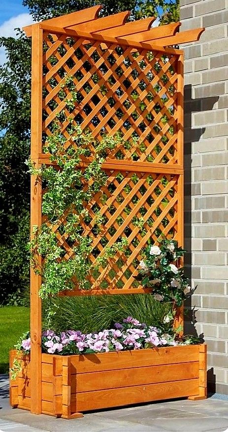 Wooden Trellis, Pergola Design, Diy Shades, Backyard Privacy, Backyard Pergola, Summer Decorating Ideas, Pergola Plans, Pergola Patio, Pergola Designs