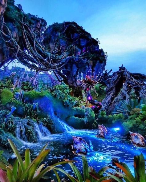 Jan 30, 2019 - Pandora the World of Avatar is the newest land at Disney’s Animal Kingdom. It opens May 27th and thousands of people will be flocking to visit Pandora this year. I’m so excited for you guys… Avatar Disney World, Avatar Land, Pandora World, Alien Beauty, Avatar Disney, Disney World Aesthetic, Disney World Pictures, Images Disney, Pandora Avatar