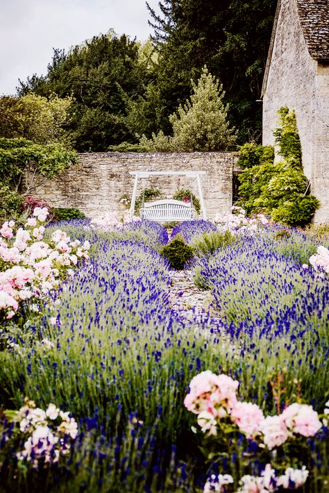 Cotswold wedding venue, Caswell House, lavender garden and lovers seat Cotswold Wedding, Wedding Cotswolds, Oxfordshire Wedding Venues, Best Cotswold Villages, Cotswold House, Stow On The Wold Cotswolds, Cotswolds Cottage, Wadley Farms Castle Wedding, Cottage Wedding