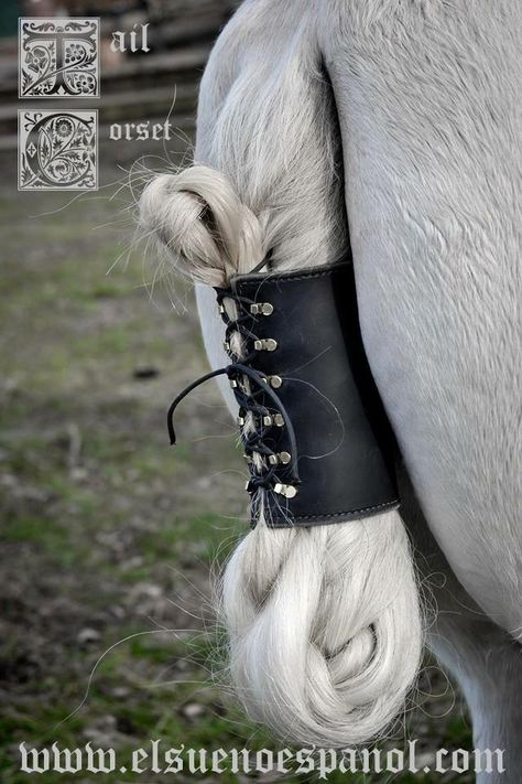 Fantasy Horse Tack, Horse Braiding, Horse Games, Horse Costumes, Horse Tail, Horse Armor, Fantasy Horses, Horse Equipment, Horse Gear