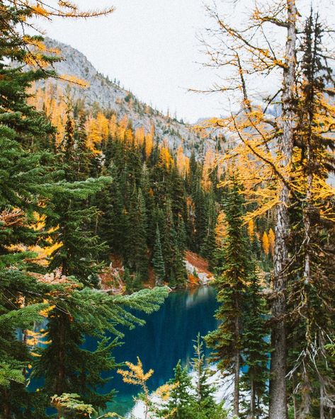 Hiking the Blue Lake Trail in North Cascades National Park — Sky Frost Blue Lake Washington, Hiking Motivation, Canada Hikes, Pnw Hiking, American Roadtrip, Brain Storm, Cascades National Park, Cascade National Park, Hiking Map