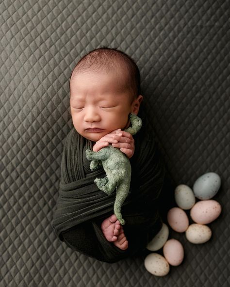 A newborn session doesn’t have to be 4 hours long. My mini newborn sessions takes about 2 hours and includes several beautiful setups. Love this last minute session for my client @tat1na and her little man! Swipe to see some of her stunning maternity images as well! #wrappednewborn #newbornphotography #sandiegonewbornphotographer #sandiegobabyphotographer #sandiegomaternityphotographer #sandiegopregnancyphotographer #studionewbornsession #studiomaternityphotographer Dino Newborn Pictures, Newborn Dinosaur Photography, Dinosaur Photography, Maternity Pics, Newborn Pictures, Photographing Babies, Baby Things, Newborn Session, Baby Ideas