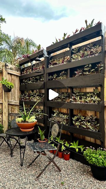 Myles Smith, Plant Propagation Station, Planter Liners, Propagation Station, Garden Whimsy, Pallet Creations, Wall Planter, Wire Mesh, 1k Views