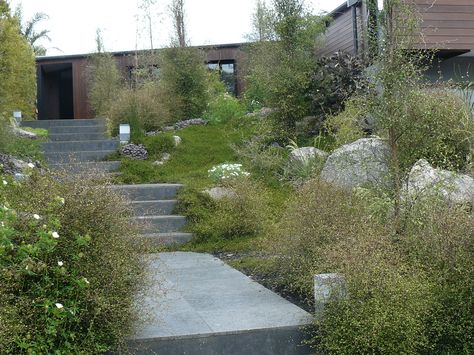 NZ Natives - Xanthe White Contemporary Native Garden, Native Nz Garden Design, Native Plant Lawns, Nz Native Garden, Xanthe White, Nz Native Hedge, Native Garden Nz, Patio Seating Area, Landscape Steps