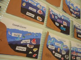 Forming Futures in First Grade: Diving In Deep!!! Ocean Zones, Ocean Exploration, Pre-k Science, Ocean Habitat, Ocean Projects, Ocean Unit, 1st Grade Science, Homeschool Projects, Ocean Activities