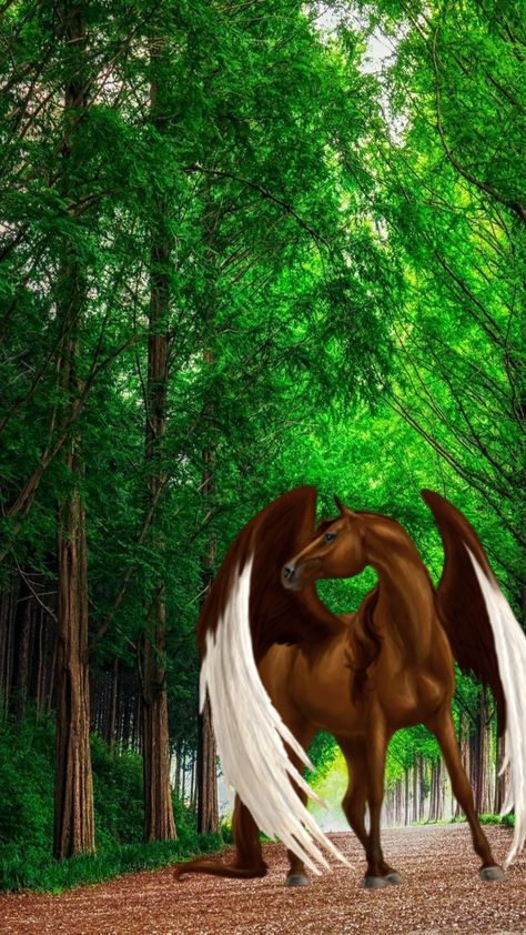 Beautiful brown winged horse ( Pegasus) Amazing Pegasus Pictures Fantasy Colorful, Fantasy Pegasus, Fantasy Animals, Winged Horse, Mermaids And Mermen, Horse Drawing, Brown Horse, Mystical Creatures, Brooms