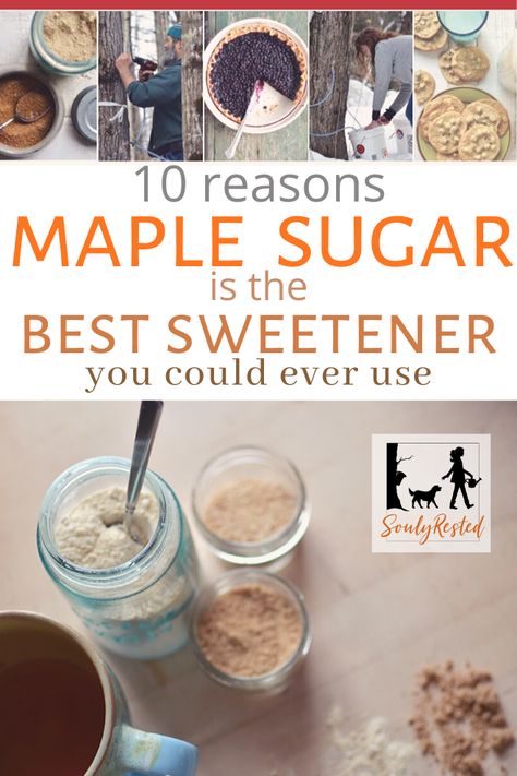 10 reasons why maple sugar is one of the best sweeteners you can use, along with recipes and lots of suggestions of how to use maple sugar. #maplesugar #bestsweetener #allnaturalsweetener Maple Sugar Recipes, Maple Tapping, Maple Sugaring, Homesteading Life, Maple Recipes, Syrup Recipes, Sugar Replacement, Low Acid Recipes, Produce Recipes