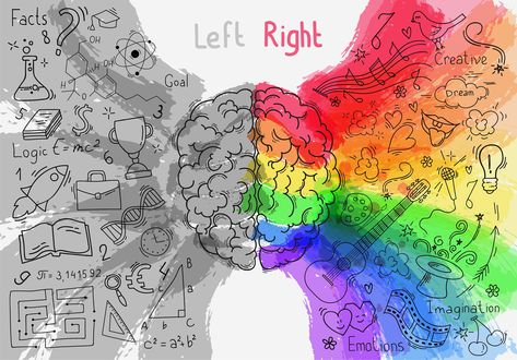 Language tends to be on the left, attention more on the right. However people don’t tend to have a stronger left- or right-sided brain network. Left Vs Right Brain, Left Brain Vs Right Brain, Left Brain Right Brain, Draw Better, Brain Tattoo, Left Brain, Left Handed People, Brain Art, E Mc2