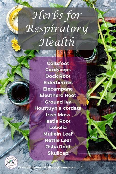 Herbs For Lungs Respiratory System, Herbs For Respiratory Health, Health Makeover, Herbs Medicine, Medical Words, Heart Diet, Lung Health, Medical Herbs, Holistic Health Remedies