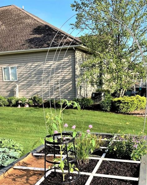 square foot gardening trellis Garden Spacing, Ladders In The Garden, Cattle Panel Trellis, Ladder Trellis, Pea Trellis, Square Foot Garden, Cattle Panels, Metal Trellis, Natural Repellent