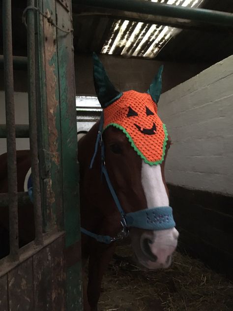 Horse Fly Bonnet Crochet Pattern Free, Horse Fly Bonnet, Horse Bonnet, Halloween Horse, Bonnet Pattern, Crochet Horse, Free Horses, Horse Fly, Bonnet Crochet