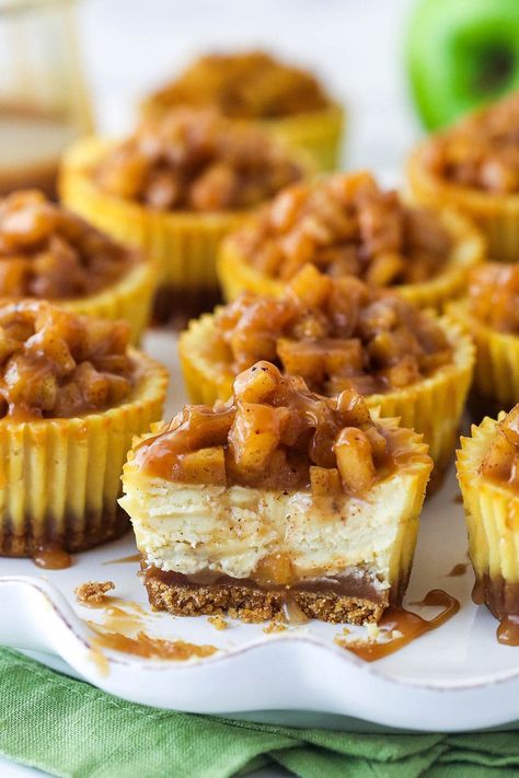 Caramel Apple Mini Cheesecakes, Caramel Apple Cheesecake Bites, Mini Caramel Apple Cheesecake, Sharable Desserts, Mini Apple Cheesecake, Caramel Apple Cheesecake Recipes, Mini Cheesecakes Easy, Mini Caramel Apples, Caramel Apple Cheesecake