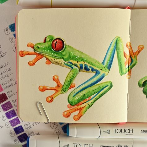 Art Frog, Painted Animals, Dart Frogs, Red Eyed Tree Frog, Prismacolor Art, Dart Frog, Frog Art, Tree Frogs, Marker Art