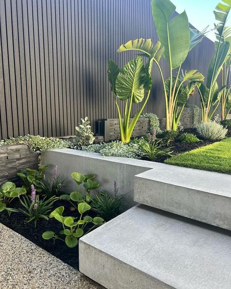 SALTY STONE LANDSCAPING on Instagram: "Tropical courtyard feels. Off form concrete steps and wall, softened by lush green planting ❤️   Design & build by the team @saltystonelandscaping" Off Form Concrete, Tropical Courtyard, Australian Garden Design, Succulent Garden Landscape, Brett Anderson, Stone Landscaping, Front Garden Design, Patio Garden Design, Backyard Pool Landscaping