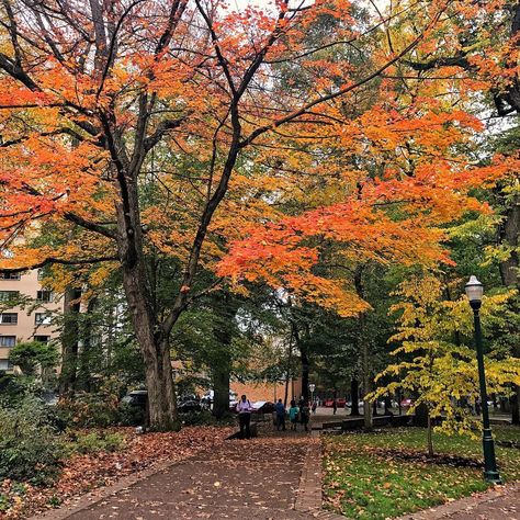 Oregon State University Aesthetic, Identity Collage, Apartment Color Palette, University Of Portland, Autumn Ambience, Oregon College, English Girl, Aesthetic Scenery, Seattle University