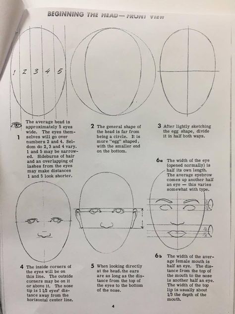 Proportion Face, Portrait Proportions, Face Proportions Drawing, Face Symmetry, Colored Pencil Drawing Tutorial, Drawing The Human Head, Face Proportions, Paper Art Design, Pencil Drawing Tutorials