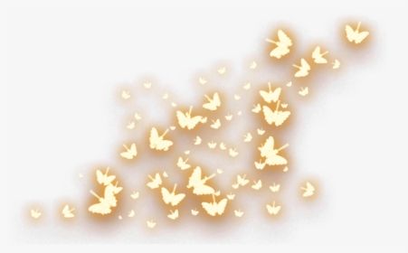 Glowing Butterfly Png, Black Background Hd, Background Hd Png, Glowing Fairy, Glowing Butterfly, Gold Glow, Butterfly Png, Butterfly Lighting, Background Hd