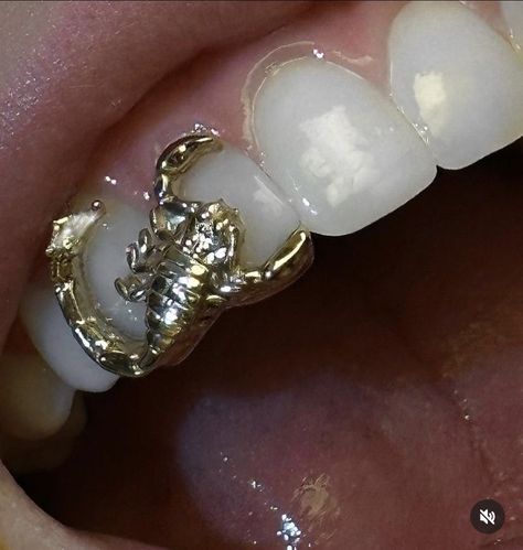 Dope Jewelry Accessories, Grills Teeth, Tooth Gem, Teeth Jewelry, Gold Teeth, Jewelry Accessories Ideas, Dope Jewelry, Funky Jewelry, Jewelry Lookbook