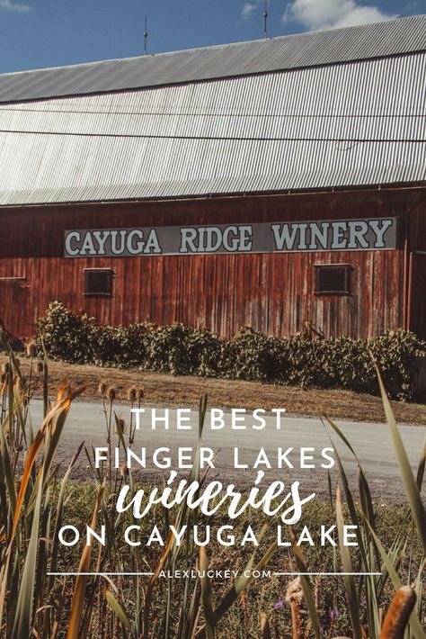 Cayuga Lake Things To Do, Cayuga Lake Wine Trail, New York Road Trip, Finger Lakes Wineries, Finger Lakes Ny, Seneca Falls, New York State Parks, Cayuga Lake, Wine Country Travel