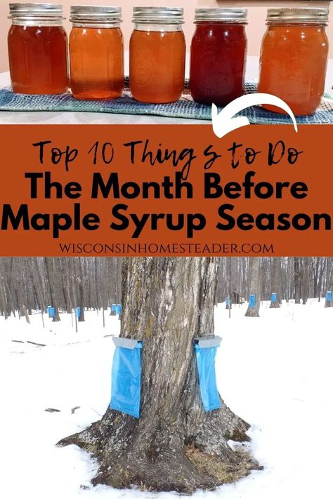 Maple Sap Collecting, Maple Syrup Tapping, Making Maple Syrup, Maple Sugaring Activities, Making Syrup, Maple Syrup Tree, Maple Syrup Taps, Canning Preserves, Diy Maple Syrup