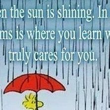 Web Of Loneliness on Instagram: "#picoftheday #pic #quote #MotivationalQuotes #Wisdom" Peanuts Quotes, Woodstock Snoopy, Inspirerende Ord, Peanuts Cartoon, Snoopy Quotes, Snoopy Love, Charlie Brown Peanuts, Charlie Brown And Snoopy, Peanuts Gang