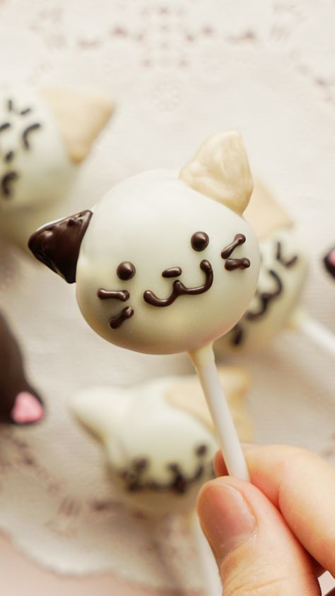 Kitty Cake Pops, Tastemade Japan, Japan Kitchen, Food Japan, Cat Cupcakes, Chocolate Sponge Cake, Kawaii Dessert, Kitty Cake, Oreo Pops