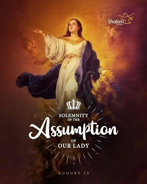 And a great sign appeared in heaven: a woman clothed with the sun, with the moon under her feet, and on her head a crown of twelve stars. (Revelation 12:1)  #AssumptionofourLady #StMary #HolyVirgin #BlessedMother #MarianDevotion Mother Mary Quotes, Assumption Quotes, Mary Jesus Mother, Jesus Son Of God, Good Morning Sunday Images, Assumption Of Mary, Catholic Wallpaper, Catholic Beliefs, Revelation 12