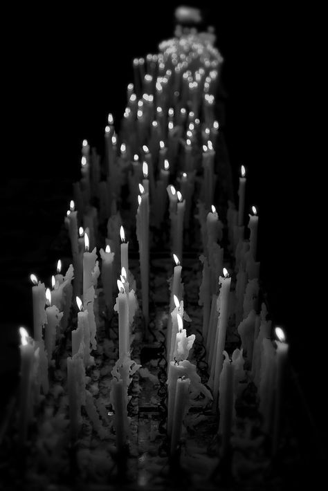 Candles Photography, Dark Pictures, Gothic Aesthetic, Season Of The Witch, Witch Aesthetic, Fantasy Aesthetic, Dark Photography, The Shape, Dia De Muertos