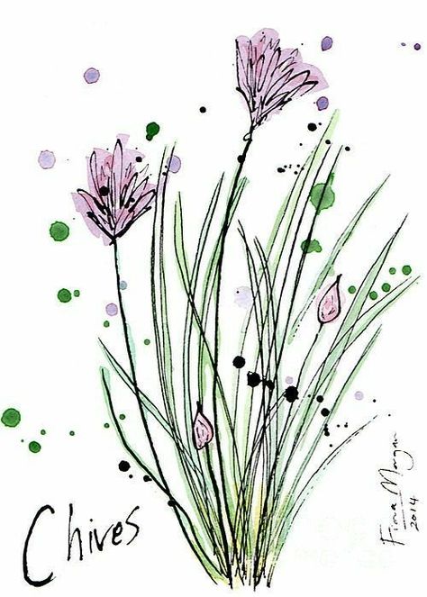 Chives Drawing, Watercolor Activities, Painting Herbs, Watercolour Vegetables, Watercolor Herbs, Vintage Bird Illustration, Household Objects, Still Life Images, Watercolor Flowers Tutorial