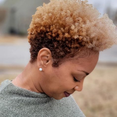 75 Most Inspiring Natural Hairstyles for Short Hair in 2024 4 C Short Hairstyles, Natural Hair Haircuts Shape, Tapered Pixie Haircut Black Women, Tapered Cut Natural Hair 4c, Tapered Haircut Natural Hair, Natural Tapered Cut, Natural Haircut Styles, Natural Hairstyles For Short Hair, Short Black Natural Hairstyles