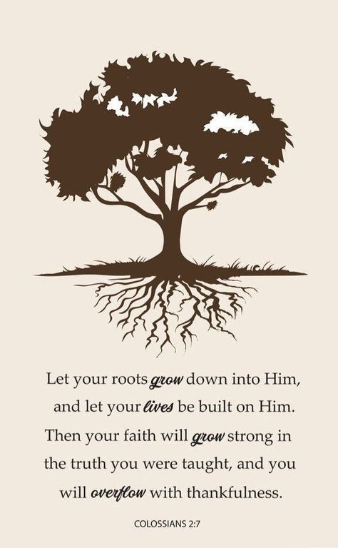 Bible Study Images, Tree Bible Verse, Bible Verse Tattoos, Plank Art, Majestic Tree, Christian Graphics, Colossians 2, Tree Tattoos, Wonders Of Nature