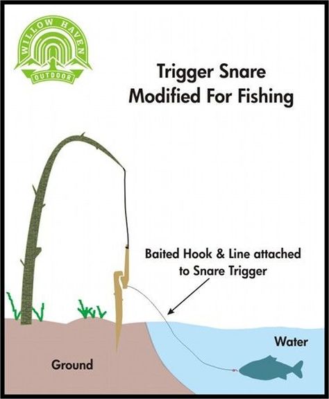 Bushcraft Projects, Snare Trap, Supraviețuire Camping, Survival Fishing, Game Of Survival, Bushcraft Camping, Festival Camping, Urban Survival, Survival Techniques