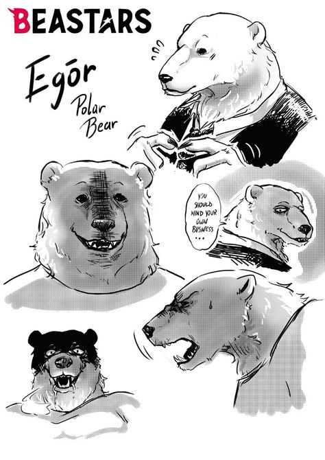 Anthro Polar Bear, Beastars Bear, Polar Bear Fursona, Cherryton Academy, Beastars Characters, Bear Fursona, Beastars Oc, Bear Oc, Polar Bear Drawing