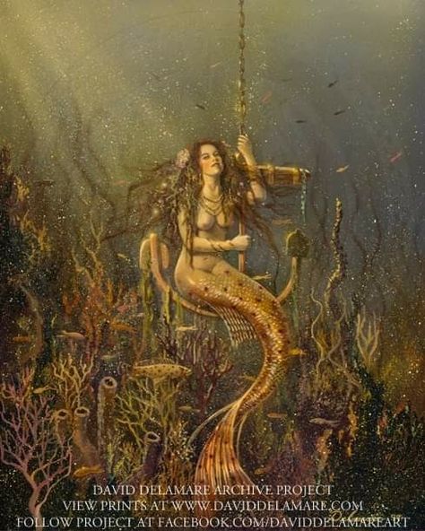 Octopus Mermaid, Mermaid Artwork, Fantasy Mermaids, Siren Mermaid, Mermaid Painting, Real Mermaids, Octopus Art, Mermaid Tattoos, Mermaid Dreams