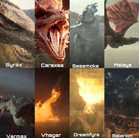 Dragon Anatomy, Dragon House, Game Of Thrones Dragons, Got Dragons, Targaryen Aesthetic, Gra O Tron, Game Of Thrones Art, House Of The Dragon, Dragon Pictures