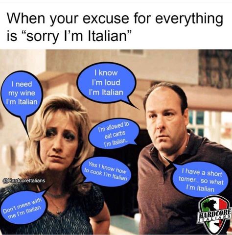 Funny Italian Memes, Italian Girl Problems, Italian Memes, Everyday Italian, Pride Clothing, Italian Clothing, Funny Italian Jokes, Italian Girl, Italian Pride