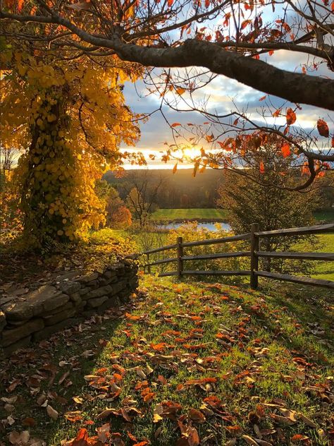 Litchfield Connecticut, Leaves On The Ground, Herbst Bucket List, Autumn Magic, Fall 24, Pretty Landscapes, Autumn Scenery, Country Roses, Rose Cottage