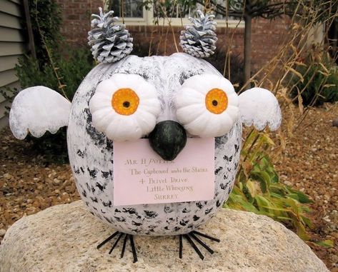 Or this Hedwig one: | Community Post: 16 Magical Pumpkins All "Harry Potter" Fans Need To See Hedwig Pumpkin, Book Character Pumpkins, Story Book Pumpkin, Harry Potter Pumpkin, Creative Pumpkin Decorating, Owl Pumpkin, Character Pumpkins, Harry Potter Owl, Pumpkin Carving Contest