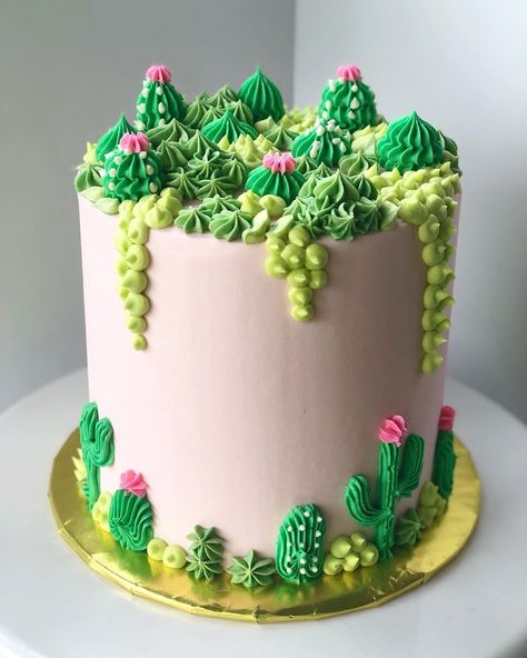 Image may contain: plant and food Indian Cake, Chocolate Hazelnut Cake, Succulent Cake, Cactus Cake, Buckwheat Cake, Hazelnut Cake, Cactus Party, Zucchini Cake, Make 10