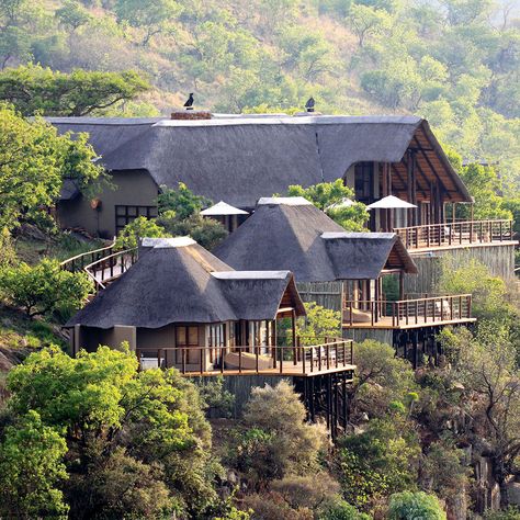 Safari Lodge Design, Resort Building, Lodges South Africa, African Lodge, Luxury African Safari, Bush Lodge, Luxury Safari Lodge, Lodge Design, Lodge Ideas