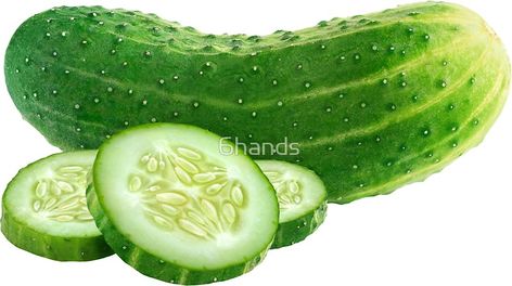 #findyourthing #Cucumber with slices. Die-cut vinyl stickers with beautiful fruits and vegetables for laptops, journals, scrapbooking, kids activities and DIY projects @RedBubble. Cucumber Benefits, Cucumber Plant, Cucumber Seeds, Help Digestion, Cucumber Recipes, Beautiful Fruits, Green Fruit, Yoga Routine, Fruit And Veg