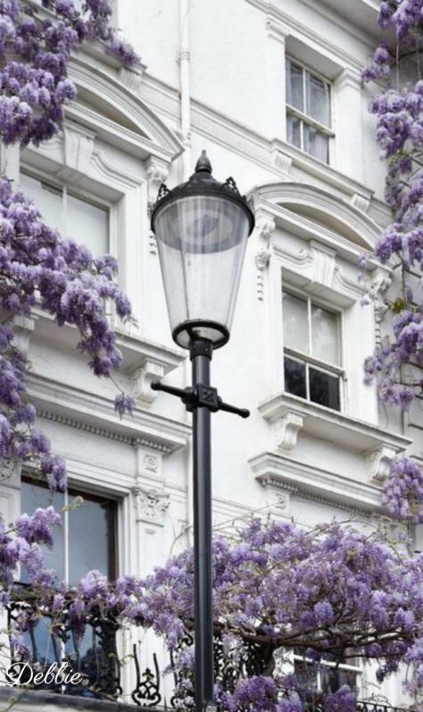 Notting Hill, London UK ~ Debbie ❤ Lilac Aesthetic, Violet Aesthetic, Notting Hill London, Lavender Aesthetic, Notting Hill, Pastel Purple, Purple Aesthetic, Street Light, Pretty Places