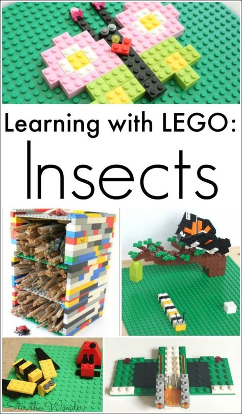 Learning with LEGO about insects is fun, creative and hands-on! In this post I've rounded up several hands-on LEGO activities for learning about insects! Lego Insects, Learning About Insects, Preschool Bug Theme, Bugs Preschool, Insect Activities, Lego Hogwarts, Lego Challenge, Insect Crafts, Lego Club