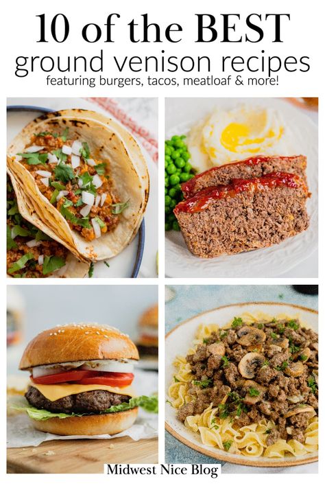 Recipes Ground Venison, Deer Ground Beef Recipes, Meals With Ground Deer Meat, Recipes With Ground Venison, Deer Hamburger Meat Recipes, Easy Ground Venison Recipes Simple, Simple Ground Venison Recipes, Venison Ground Meat Recipes, Deer Burger Recipes Ground