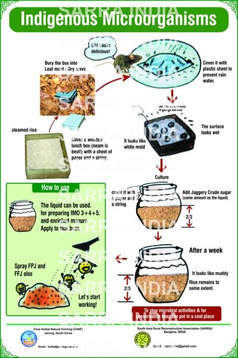 Indigenous Microorganisms Knf Farming, Indigenous Farming, Farming Hacks, Korean Garden, Soil Science, Food Forest Garden, Compost Pile, Natural Farming, Sculpted Arms